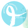 Taidekieppi